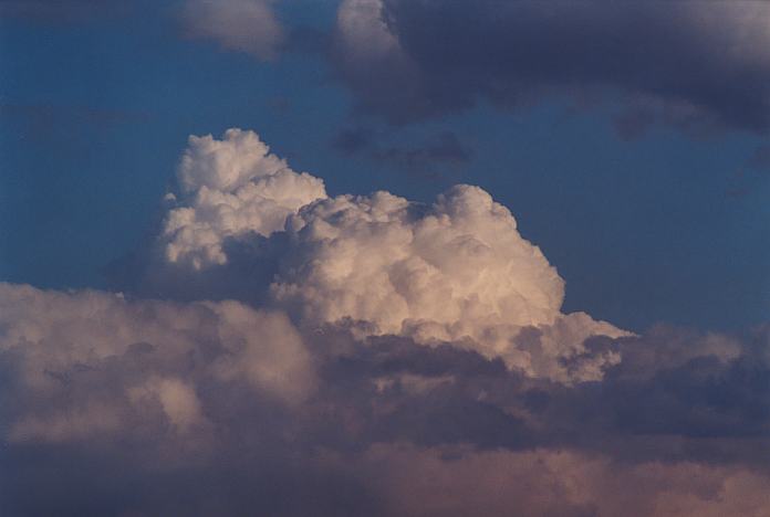 thunderstorm cumulonimbus_calvus : Rooty Hill, NSW   24 October 2001