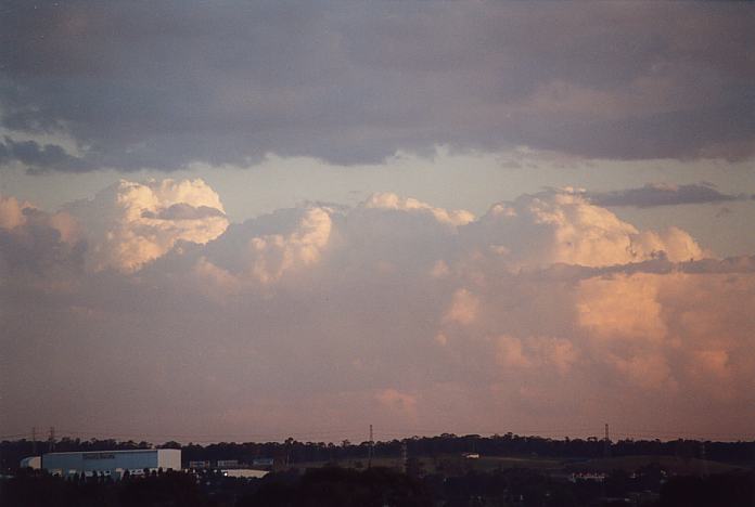 thunderstorm cumulonimbus_calvus : Rooty Hill, NSW   24 October 2001