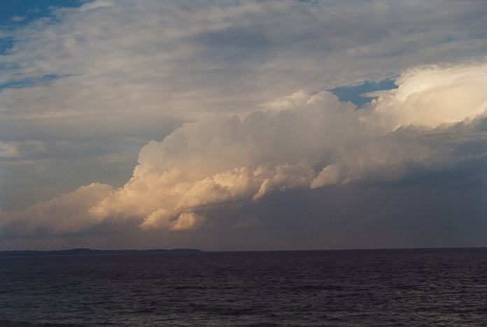 thunderstorm cumulonimbus_calvus : Forster, NSW   25 October 2001