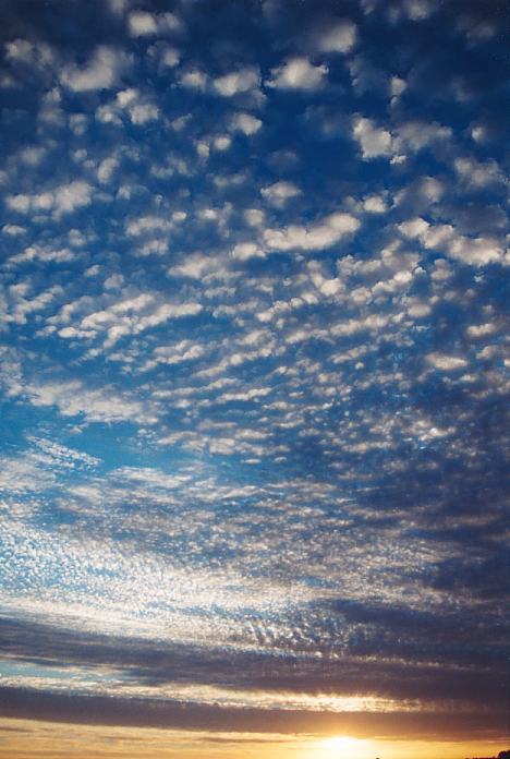 altocumulus mackerel_sky : Schofields, NSW   30 October 2001