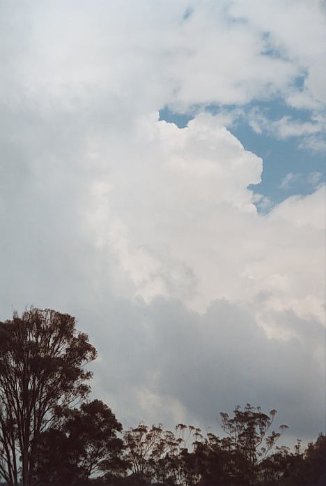 thunderstorm cumulonimbus_incus : Booral, NSW   11 November 2001