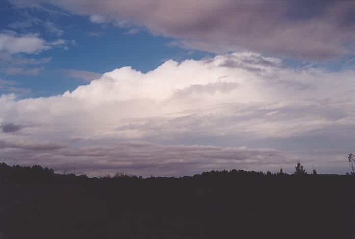 thunderstorm cumulonimbus_calvus : Booral, NSW   11 November 2001