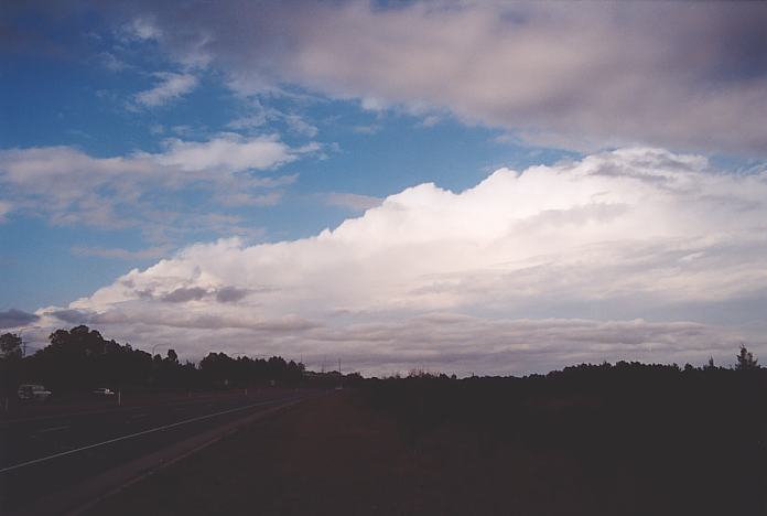 thunderstorm cumulonimbus_calvus : Booral, NSW   11 November 2001