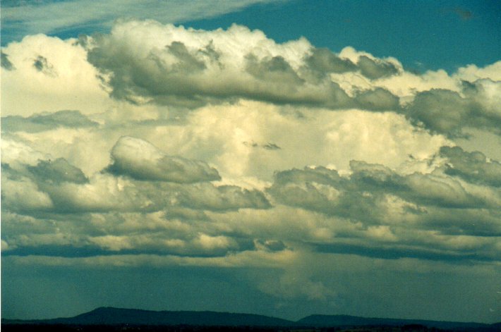 thunderstorm cumulonimbus_incus : Parrots Nest, NSW   11 November 2001