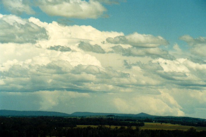 thunderstorm cumulonimbus_incus : Parrots Nest, NSW   11 November 2001