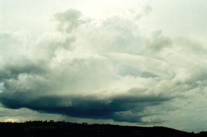 cumulonimbus thunderstorm_base : near Lismore, NSW   11 November 2001