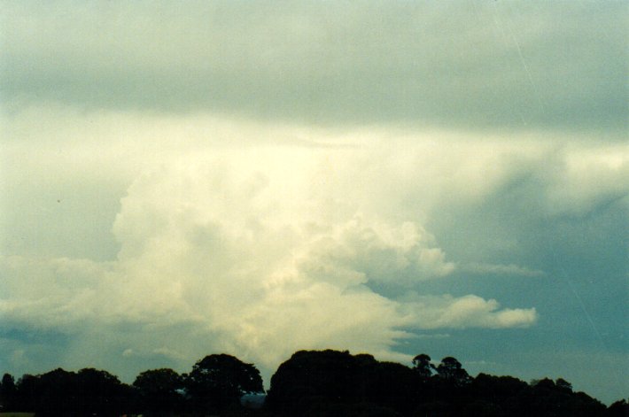 updraft thunderstorm_updrafts : McLeans Ridges, NSW   11 November 2001