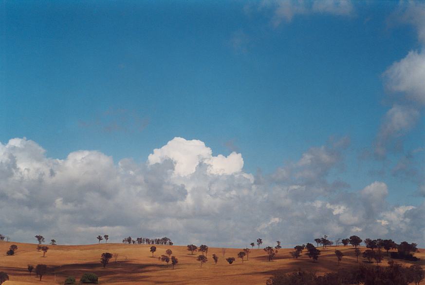 contributions received : near Ilford, NSW<BR>Photo by Geoff Thurtell   18 November 2001