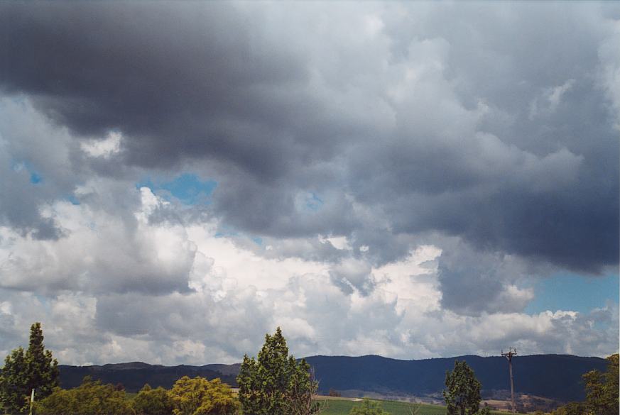 contributions received : near Mudgee, NSW<BR>Photo by Geoff Thurtell   18 November 2001