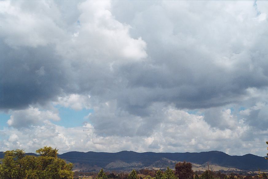 contributions received : near Mudgee, NSW<BR>Photo by Geoff Thurtell   18 November 2001