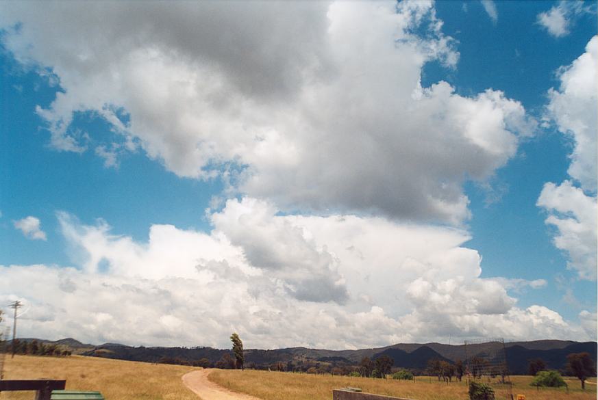 contributions received : N of Mudgee, NSW<BR>Photo by Geoff Thurtell   18 November 2001