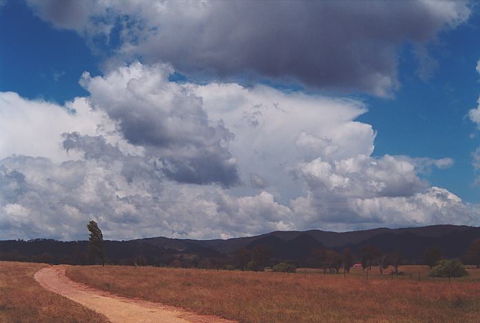 thunderstorm cumulonimbus_incus : Mudgee, NSW   18 November 2001