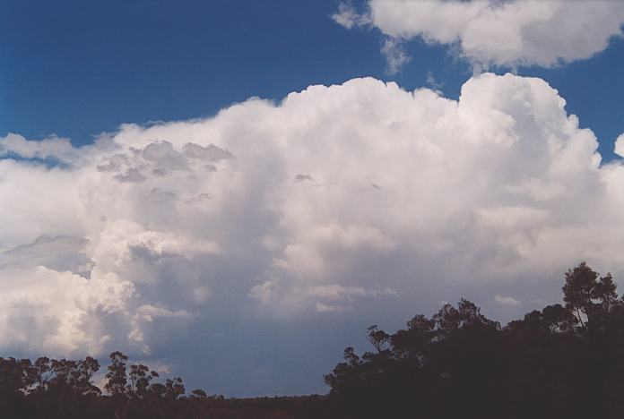 updraft thunderstorm_updrafts : Intersection Golden Highway and road to Gulgong, NSW   18 November 2001