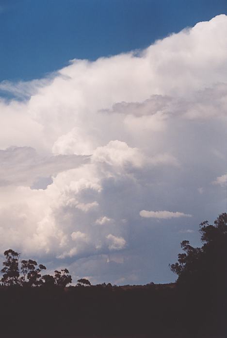 thunderstorm cumulonimbus_incus : Intersection Golden Highway and road to Gulgong, NSW   18 November 2001