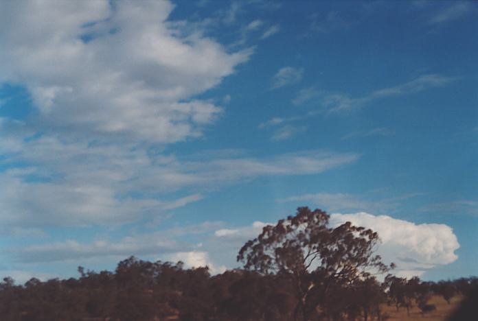 thunderstorm cumulonimbus_incus : Muswellbrook, NSW   18 November 2001