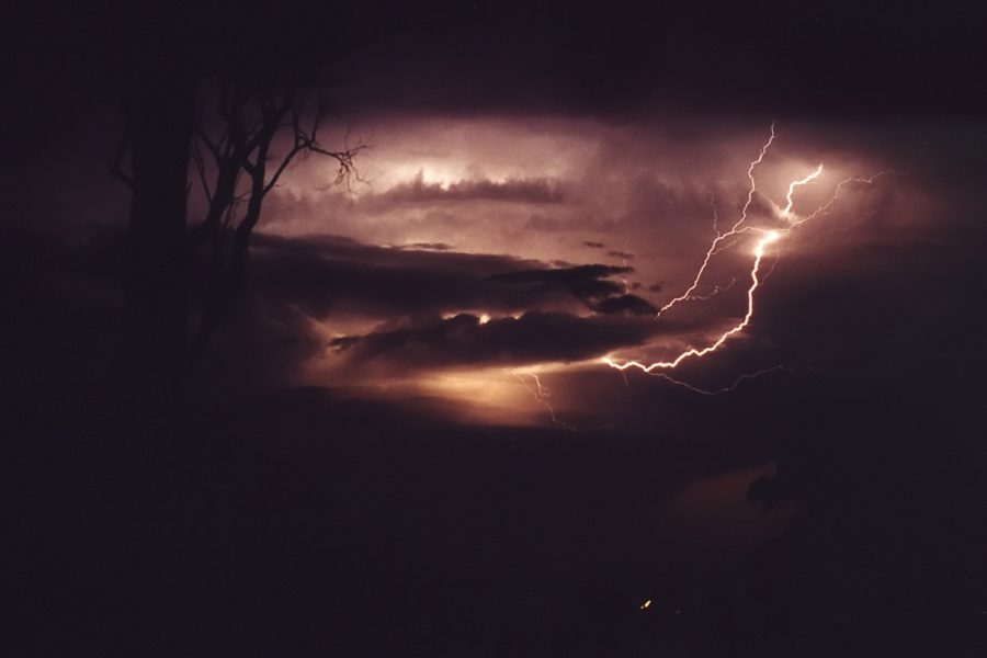 lightning lightning_bolts : Lismore, NSW   18 November 2001