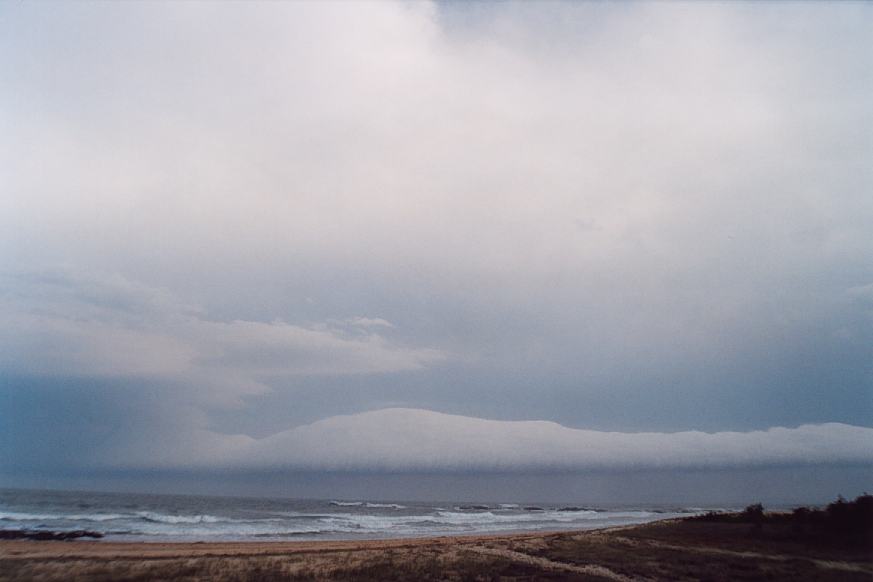 contributions received : Hallidays Beach, NSW<BR>Photo by Geoff Thurtell   24 November 2001