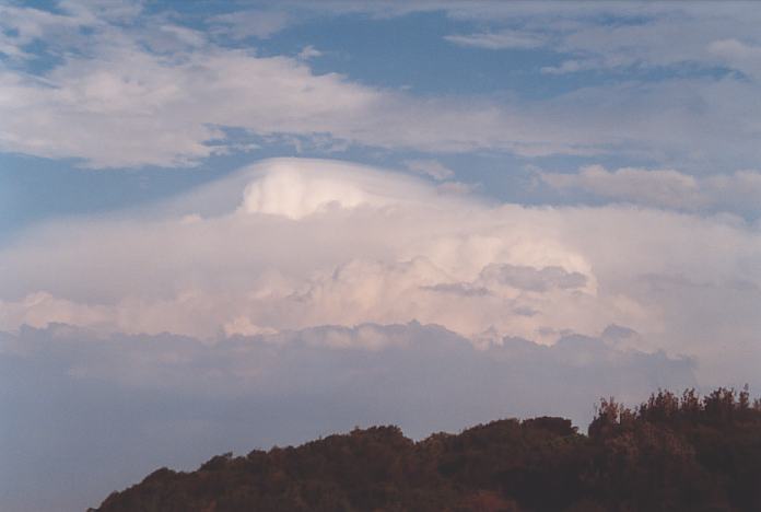 thunderstorm cumulonimbus_incus : Hallidays Point, NSW   24 November 2001