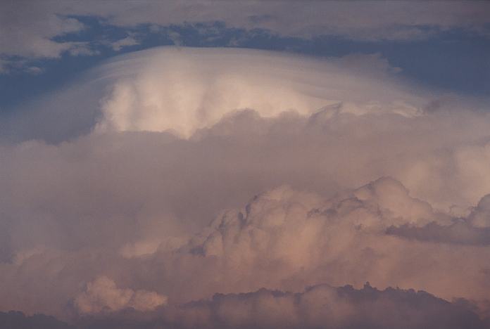 pileus pileus_cap_cloud : Hallidays Point, NSW   24 November 2001