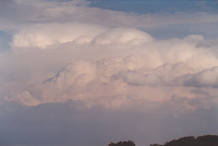 thunderstorm cumulonimbus_incus : Hallidays Point, NSW   24 November 2001