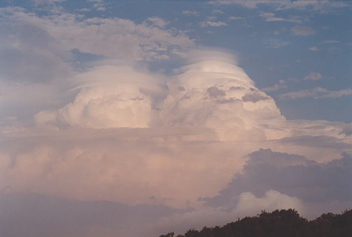 pileus pileus_cap_cloud : Hallidays Point, NSW   24 November 2001