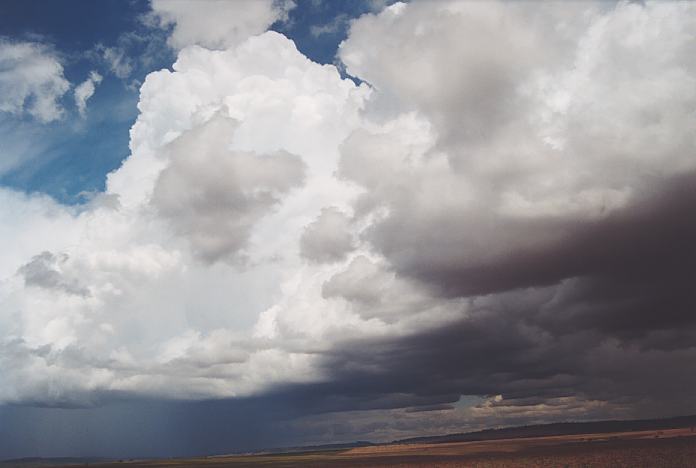 cumulonimbus thunderstorm_base : Boggabilla Road N of Warialda, NSW   27 November 2001