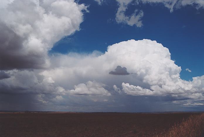 thunderstorm cumulonimbus_incus : Boggabilla Road N of Warialda, NSW   27 November 2001