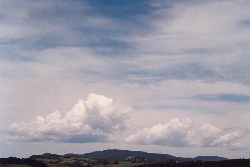 contributions received : Dorrigo, NSW<BR>Photo by Geoff Thurtell   30 November 2001