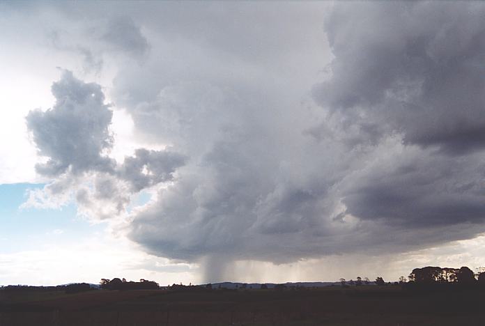 cumulonimbus thunderstorm_base : Dorrigo, NSW   30 November 2001