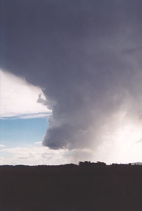 cumulonimbus thunderstorm_base : Dorrigo, NSW   30 November 2001