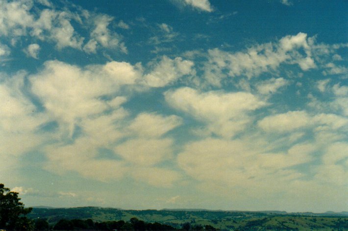 cirrus cirrus_cloud : McLeans Ridges, NSW   30 November 2001