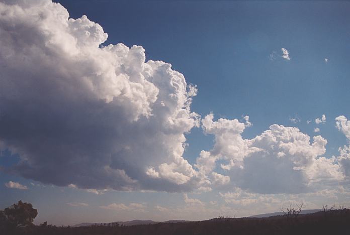 thunderstorm cumulonimbus_calvus : Corindi Beach, NSW   1 December 2001