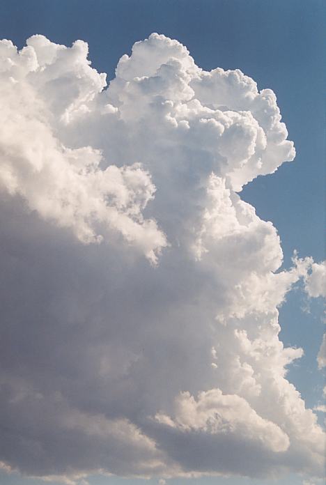 updraft thunderstorm_updrafts : Corindi Beach, NSW   1 December 2001