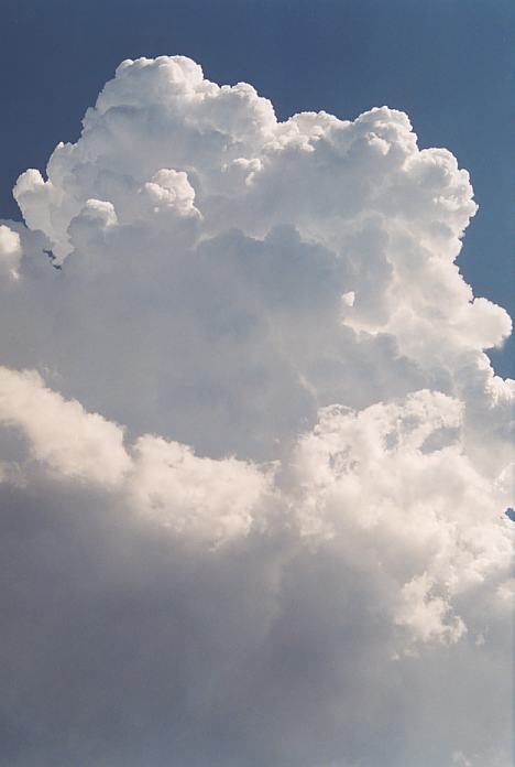 thunderstorm cumulonimbus_calvus : Corindi Beach, NSW   1 December 2001