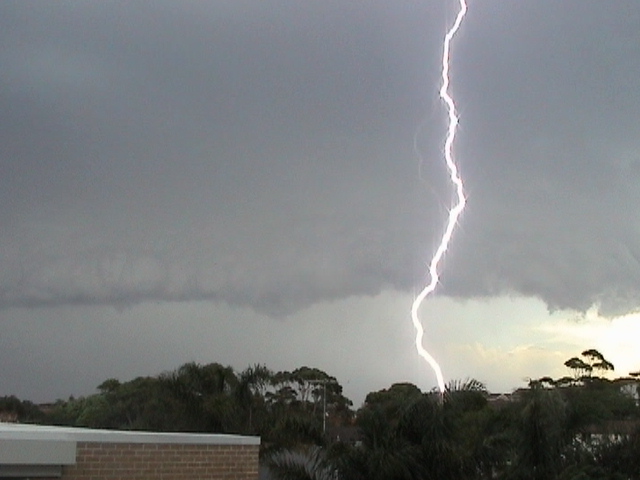 contributions received : Coogee, NSW<BR>Photo by Andrea Dunne   3 December 2001