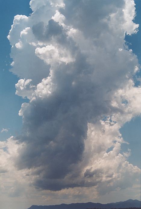 updraft thunderstorm_updrafts : near Urunga, NSW   4 December 2001