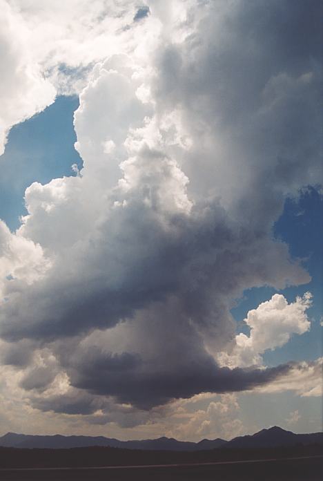 updraft thunderstorm_updrafts : near Urunga, NSW   4 December 2001