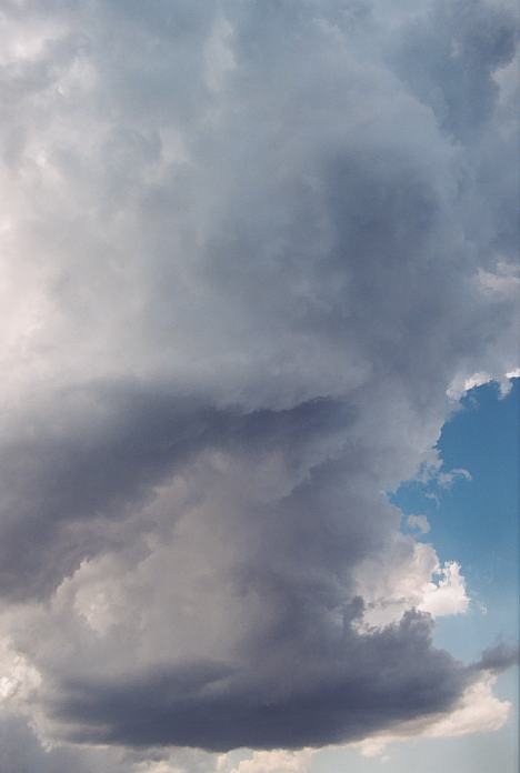 updraft thunderstorm_updrafts : near Urunga, NSW   4 December 2001