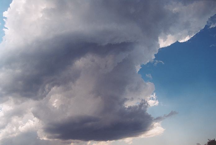 cumulonimbus thunderstorm_base : near Urunga, NSW   4 December 2001