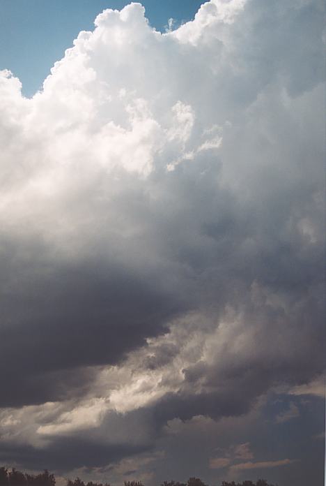 cumulonimbus thunderstorm_base : North Beach, NSW   4 December 2001