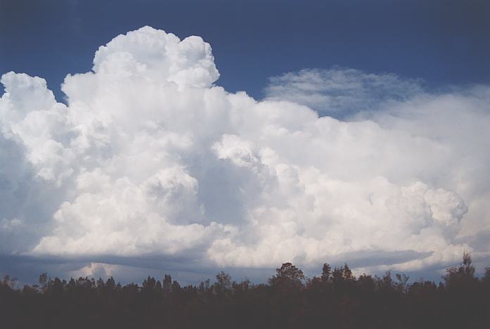 updraft thunderstorm_updrafts : Urunga, NSW   4 December 2001