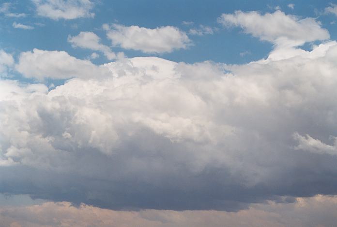 thunderstorm cumulonimbus_calvus : Schofields, NSW   7 December 2001