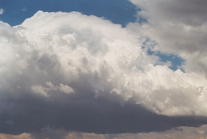 thunderstorm cumulonimbus_calvus : Schofields, NSW   7 December 2001