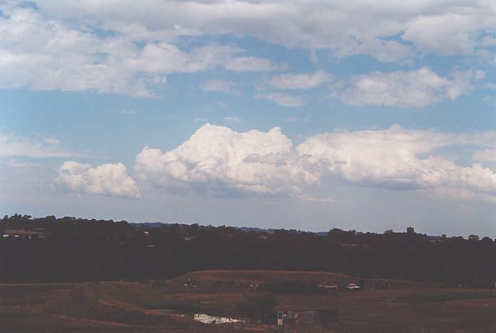 cumulus mediocris : Schofields, NSW   7 December 2001