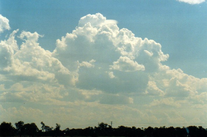 cumulus congestus : Woodburn, NSW   22 December 2001