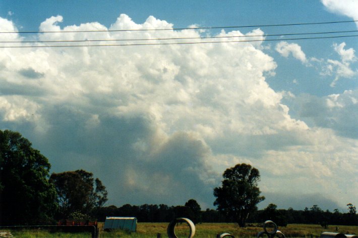 cumulus congestus : Woodburn, NSW   22 December 2001