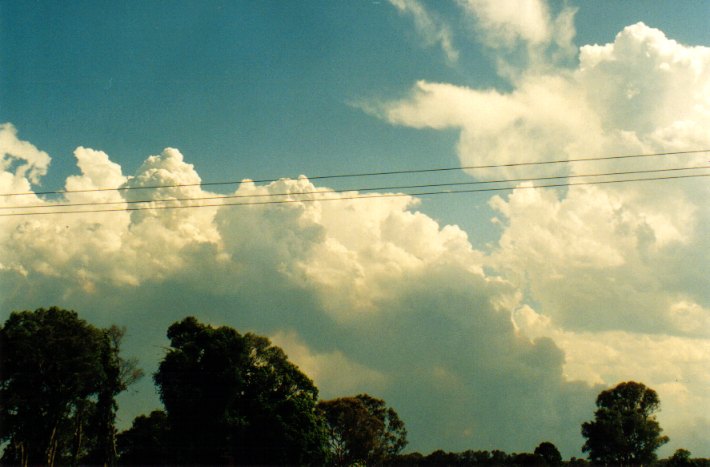 cumulus pyrocumulus : Woodburn, NSW   22 December 2001