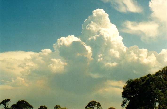 cumulus pyrocumulus : Woodburn, NSW   22 December 2001