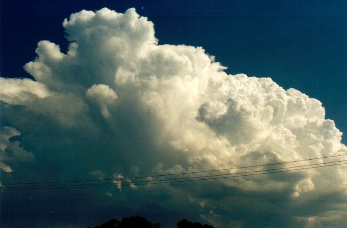 cumulus pyrocumulus : Woodburn, NSW   22 December 2001