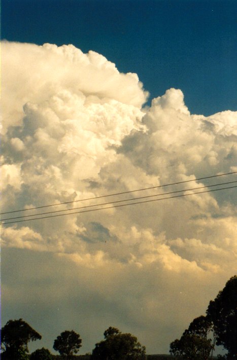 cumulus pyrocumulus : Woodburn, NSW   22 December 2001